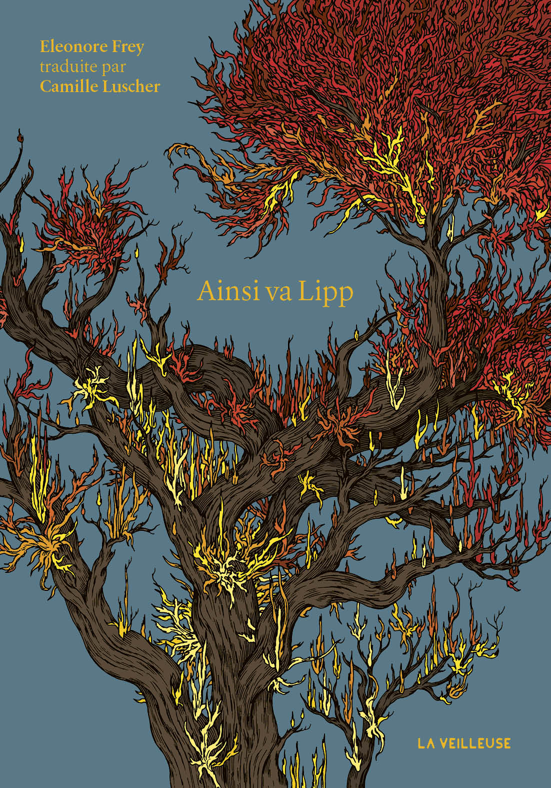 Jeudi 2 juillet : Ainsi va Lipp – vernissage